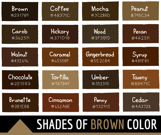 brown colour palette