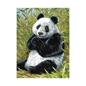 REE-PBN-Junior-Panda_8624382