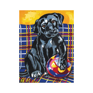 REE-PBN-Lab-Pup_0957296